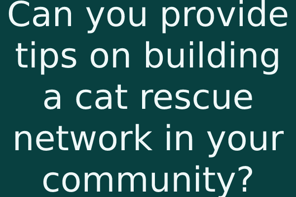 Can you provide tips on building a cat rescue network in your community?