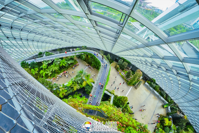 Waterfall right after you enter Cloud Forest at Gardens By The Bay