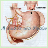 Reduzindo o estômago naturalmente, sem cirurgia