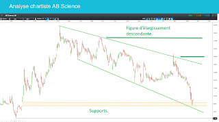 Analyse technique de Genfit et de AB science 1