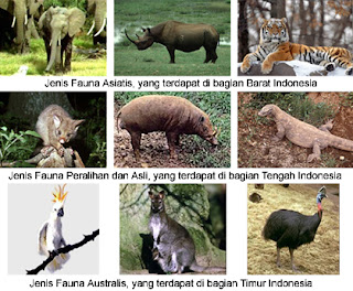 Unduh 840 Gambar Flora Dan Fauna Kelas 7 Paling Baru 