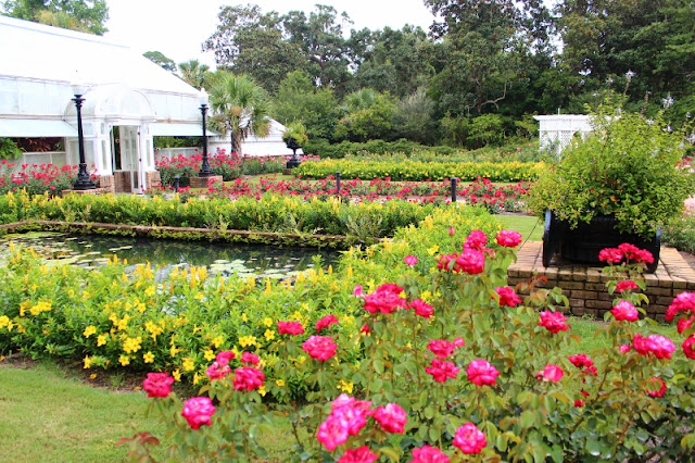 rose garden at bellingrath gardens in mobile al asian american garden 