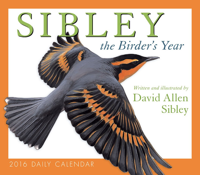 David Sibley Birds