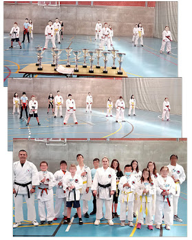 Karate Escolar Aranjuez