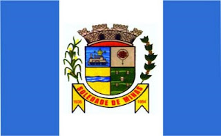 Bandeira de Soledade de Minas MG