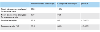 collapse of blastocysts and vitrification,ivf treatment