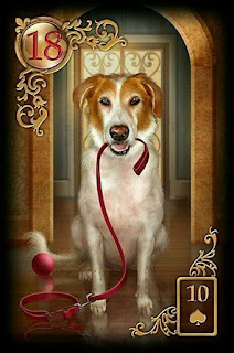 combinacoes carta cachorro