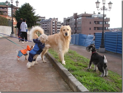 Los Toy y Otto con Hanna