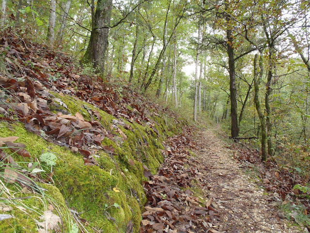  Buffalo River National Park, Tyler Bend Trails