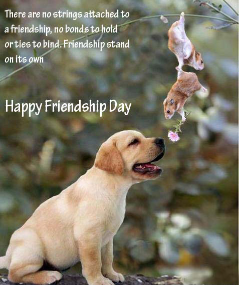 friendship-day-for-facebook-wall