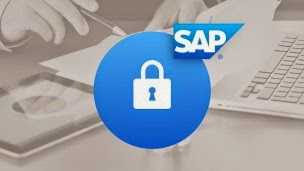 Seguridad en SAP