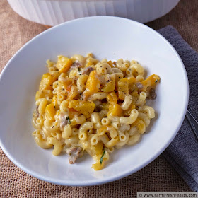 http://www.farmfreshfeasts.com/2015/02/mac-cheese-with-roasted-winter-squash.html