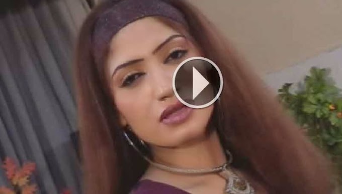 Pashto Album Maidan Hits Vol 8 Video 8