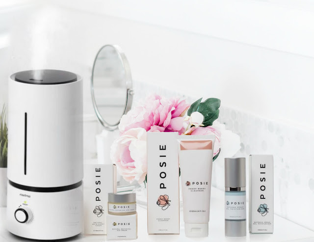 best humidifier for dry skin 2019 by barbies beauty bits