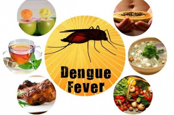 What to eat when you have dengue?, What to eat and what not to eat when you have dengue fever, What to eat and what not to eat when you have dengue