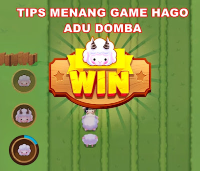 Tips dan Trik Selalu Menang Game Hago Online Adu Domba Sheep Fight