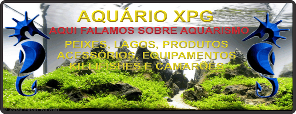 AquarioXPG Blog