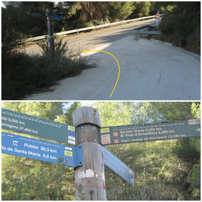 Prenafeta a Santes Creus GR-175 Ruta del Cister, camí de les Planes al Pont amb la carretera TP-2002 a Santes Creus