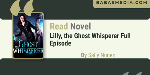 Read Lilly, the Ghost Whisperer Novel By Sally Nunez / Synopsis