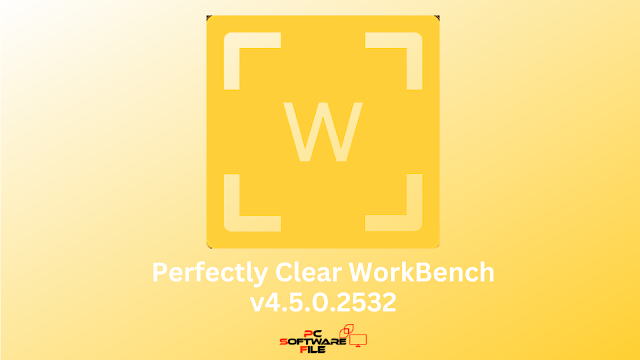 Perfectly Clear WorkBench v4.5.0.2532 for MacOS Free Download