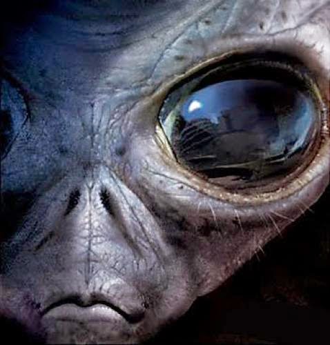 Habr Un Concierto Para Recibir A Los Extraterrestres California 10 De Junio De 2012