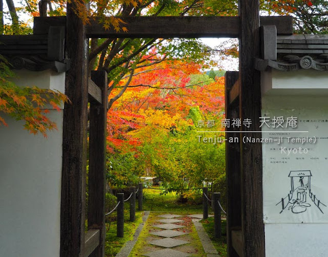 京都 南禅寺･天授庵の門から見える紅葉