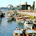 A very busy day at the Government Locks, Seattle | ektachrome photo by Josef Scayela