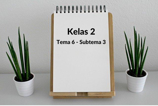 Soal Kelas 2 Tema 6 Subtema 3