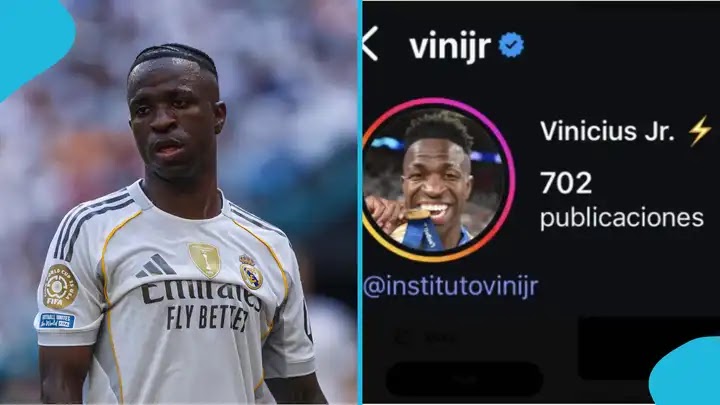 vinijr