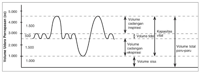 Grafik Volume udara pernapasan
