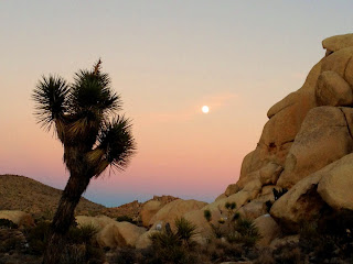 Moonrise as seen from Ryan Mountain Trail, Joshua Tree National Park