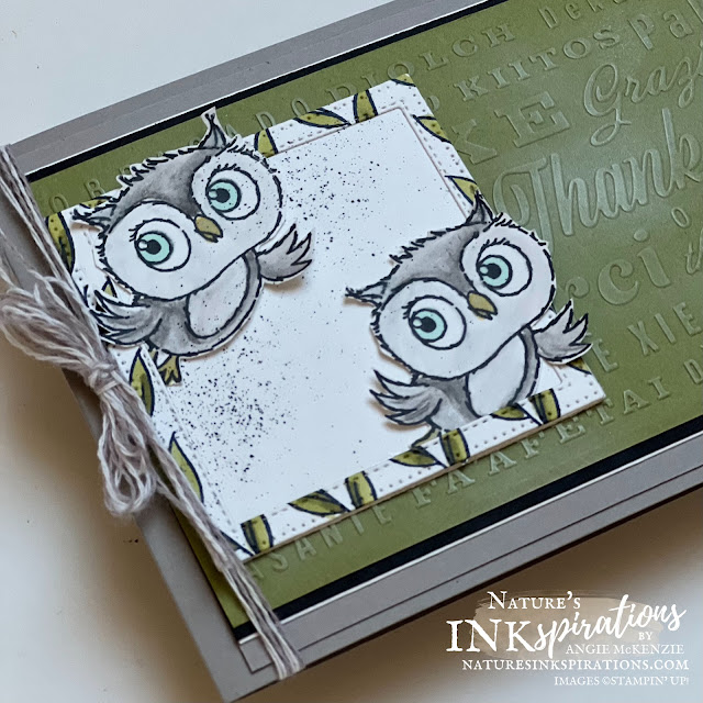 Adorable Owls Thanks (close-up 2) for Kylie's International Blog Highlights | Nature's INKspirations by Angie McKenzie