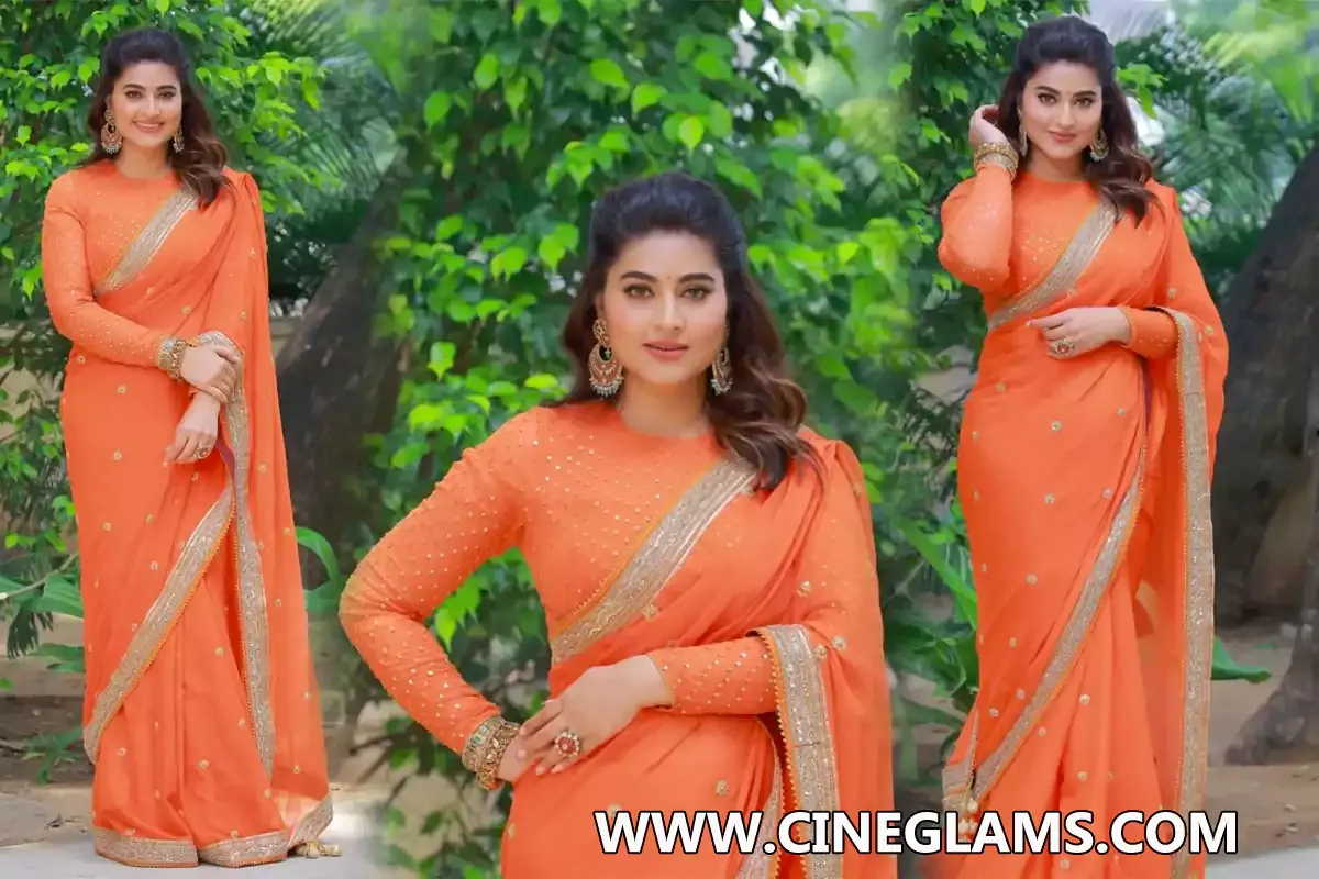 Actress Sneha Adorable Looks in Orange Saree Pics