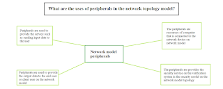 What are the uses of peripherals in the network topology model?