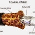 Coaxial Cable