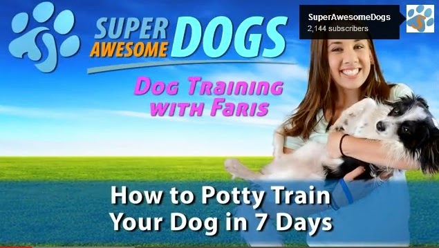 train your puppy, potty training your puppy, potty training a puppy ...