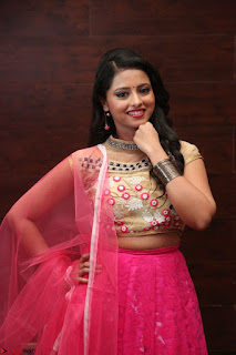 Geethanjali sizzles in Pink at Mixture Potlam Movie Audio Launch 024.JPG