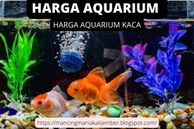 aftar Harga Aquarium Kaca  Mini Tank (Rp30 Ribu) Aquarium Mini My Fun dari Akrilik (Rp80 Ribu) Akuarium Mini Tabung (Rp120 Ribu) Akaurium Ukuran S (Rp150 Ribu) Akuarium Ukuran M (Rp275 Ribu) USB Dekstop Aquarium Mini (Rp285 Ribu) Aquarium Nikita L Plus (Rp150 Ribu) Akuarium Besar (Rp2 Juta)