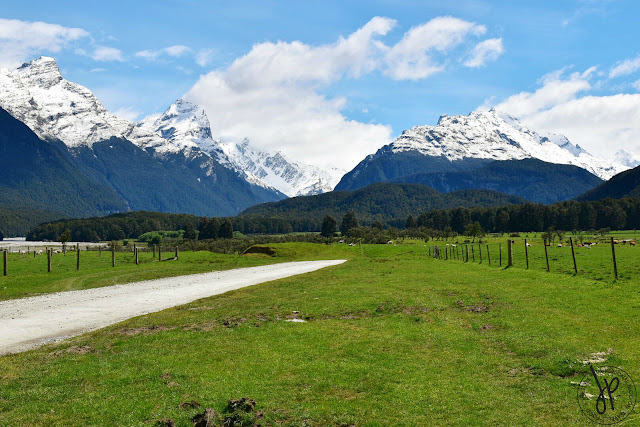 alps, farm, trees