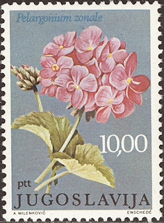 1977 Pelargonium zonale, Jugoslavija