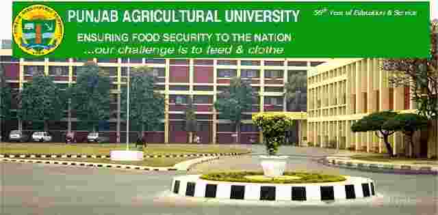 Punjab Agricultural University Recruitment 2019 for E-rickshaw Operator Posts Food