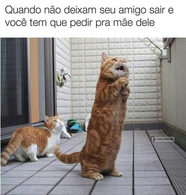 memes engraçados