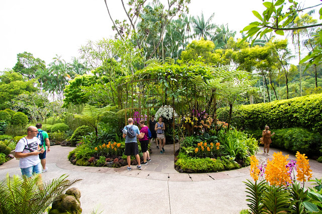 National Orchid garden-Botanic gardens-Singapore