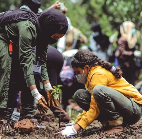 Each one Plant One. People planting trees as a community