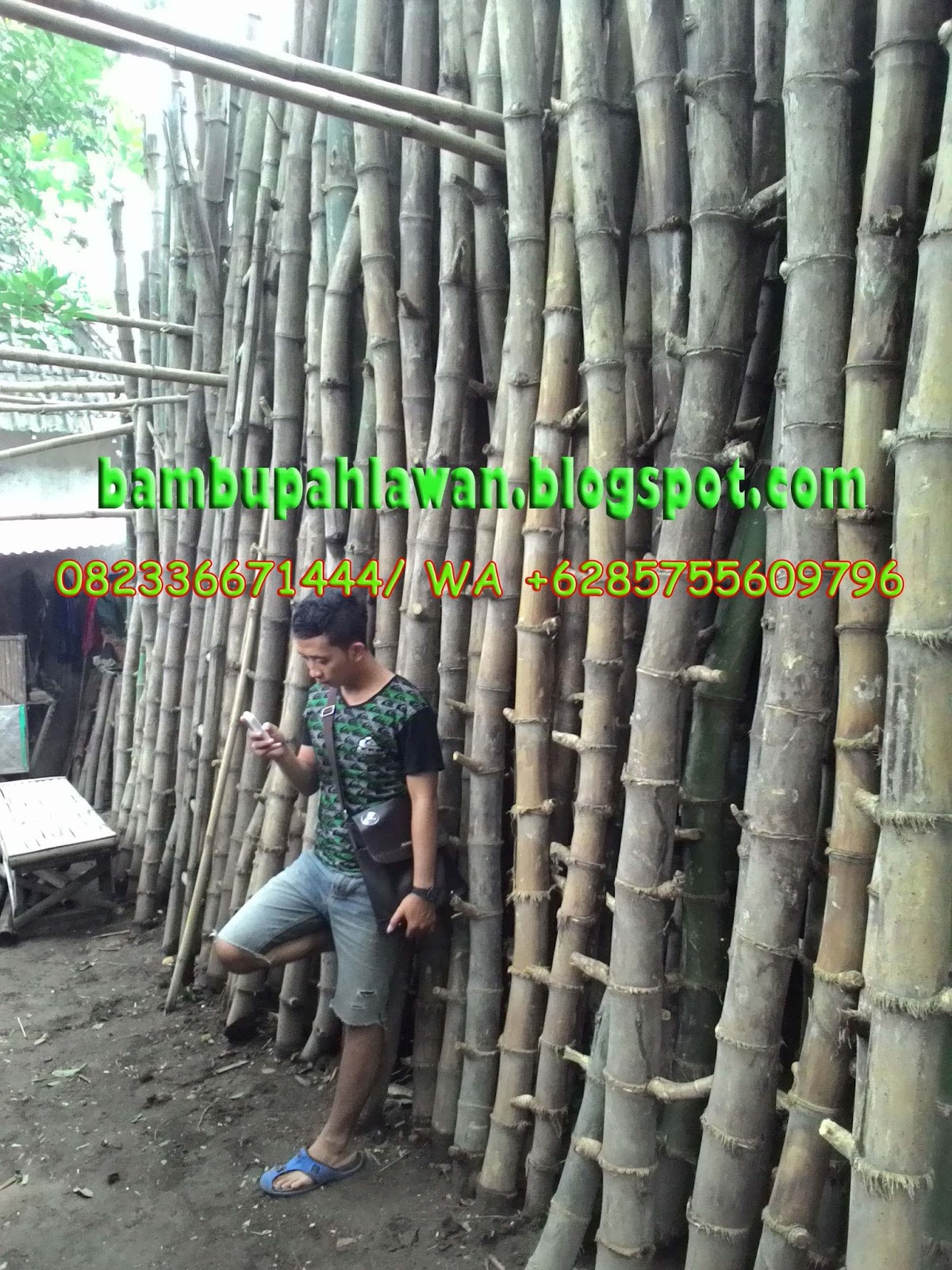  BAMBU  PAHLAWAN jual bambu  sidoarjo