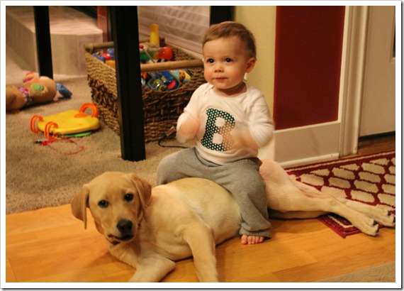 puppylove
