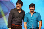 Dikkulu Chudaku Ramayya Audio launch-thumbnail-25