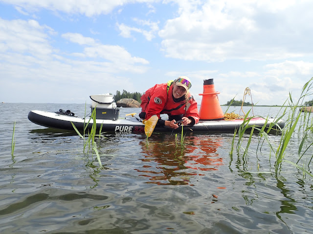 Henkilö pelastautumispuvussa SUP-laudalla