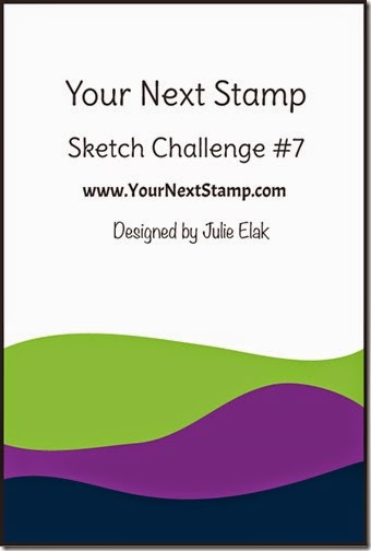 YNSSketch-7