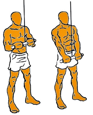 Extensión tríceps polea ejercicio hombre ejercicio